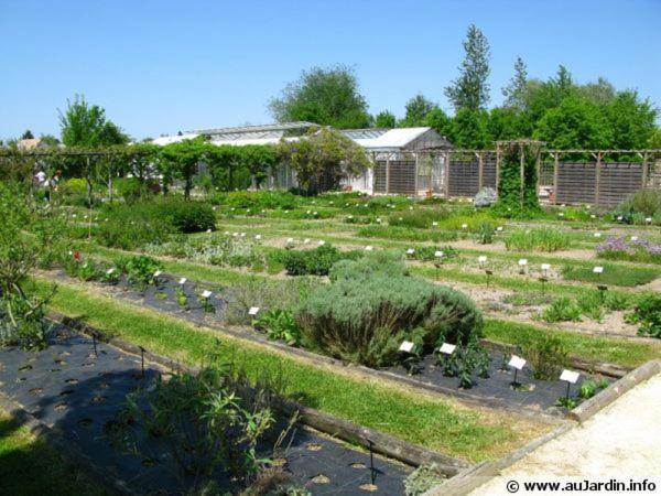 Gite Le Carpe Diem Milly-La-Foret Exterior foto